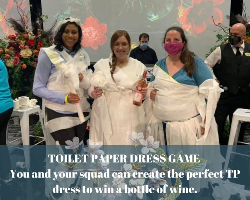 Toilet Paper Dress Game